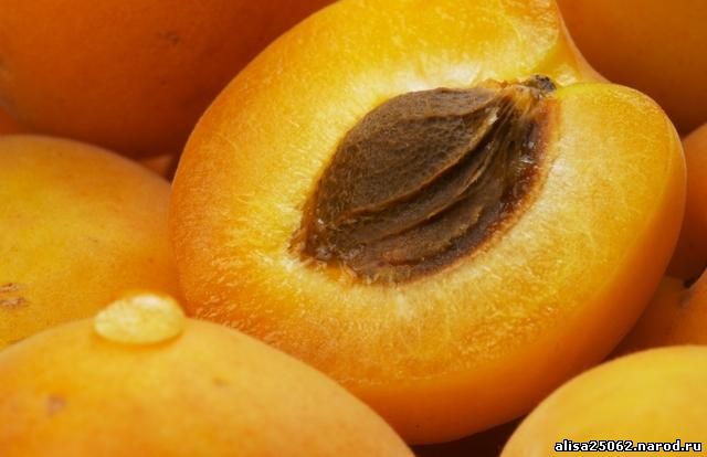 В чем польза абрикосов?