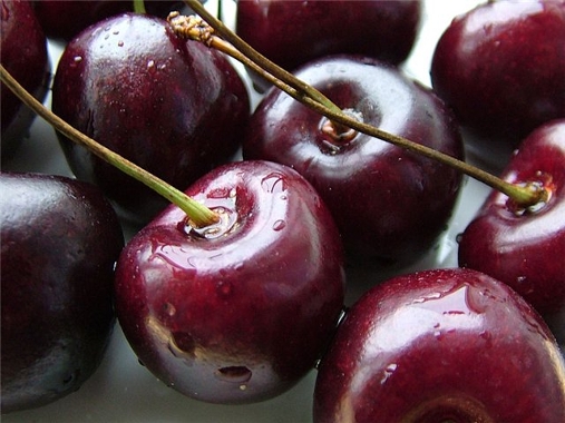 Полезные свойства вишни, черешни